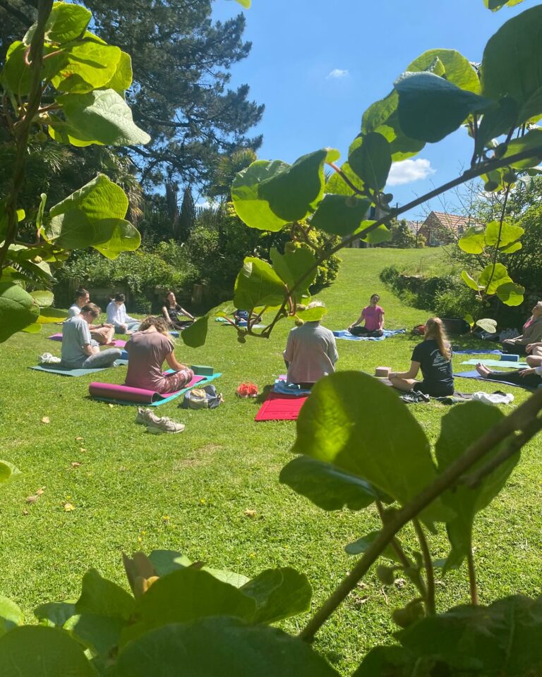 Cours de Yoga avec Banana Yoga